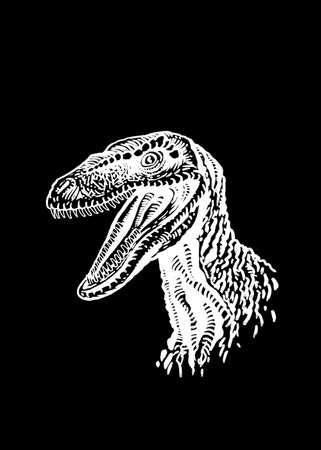 Graphical portrait of tyrannosaurus watching right on black, vector engraved illustrationのイラスト素材
