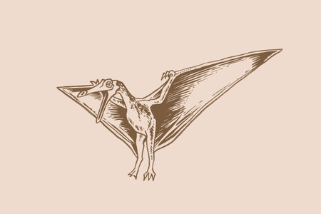 Vector pterodactyl,graphical vintage illustration of flying dinosaurのイラスト素材