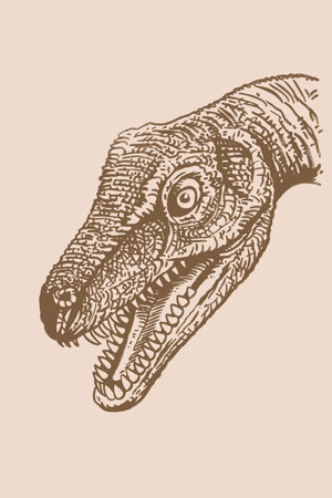 Graphical vintage illustration of diplodocus on sepia background,vector illustration, dinosaur with long neckのイラスト素材
