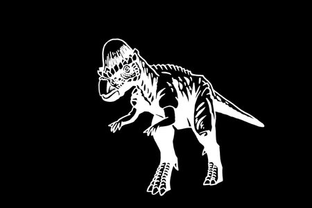 graphical Pachycephalosaurus standing on black,vector engraved illustration,dinosaurのイラスト素材