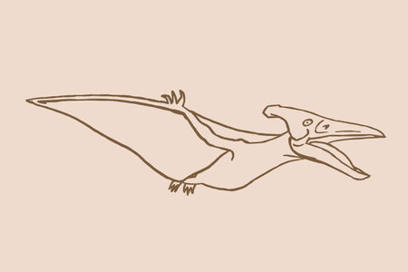 Graphical sketch of pterodactyl ,vector vintage illustrationのイラスト素材