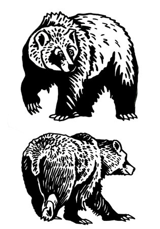 Graphical set of grizzly bears isolated on white background ,vector illustration.