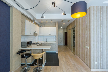 interior photo of the apartment, kitchen studio in loft style