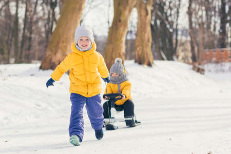 two little boys walk together in the winter park and have fun, two brothers spend time togetherの写真素材