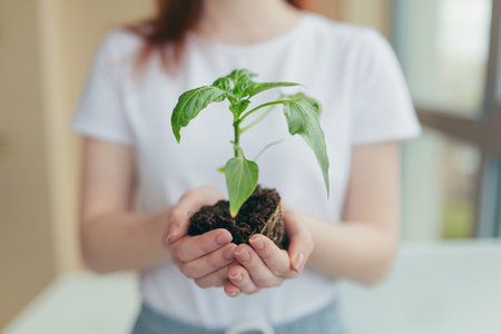 Hands of a woman in a white T-shirt holding a seedling of a flowerpot in a treeの写真素材