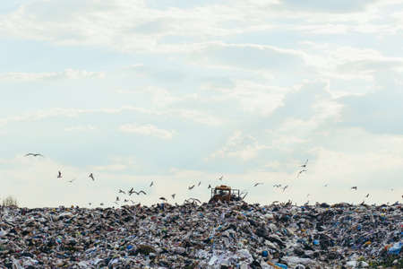 Junkyard Of Domestic Garbage In Landfillの写真素材