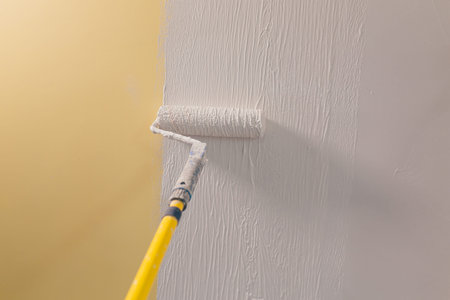 Paint brush for painting the wall, applying plaster to the wall