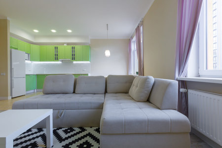 interior photography large studio room with green modern kitchenの写真素材