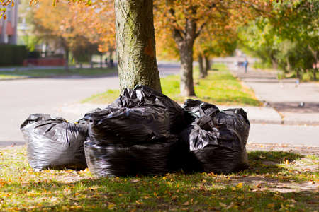 large black bags with netting and leaves collected in the city in autumnの写真素材