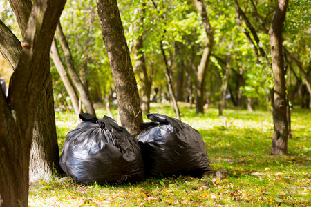 large black bags with garbage and leaves collected in the park and forest