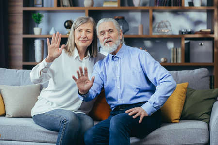 webcam view. senior couple communicate online on video call chat. looking at the camera. Happy elderly people talking with family, remote communication. Older husband and wife sitting on sofa at homeの写真素材