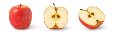 Red apples and half in a row isolated. Collection of pink apple and a halves.の写真素材