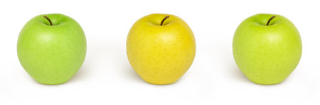 Whole green apple fruit isolated set. Collection of green and yellow apples isolated on whiteの写真素材
