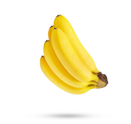 Levity banana isolated. Bunch of mini bananas isolated.の写真素材