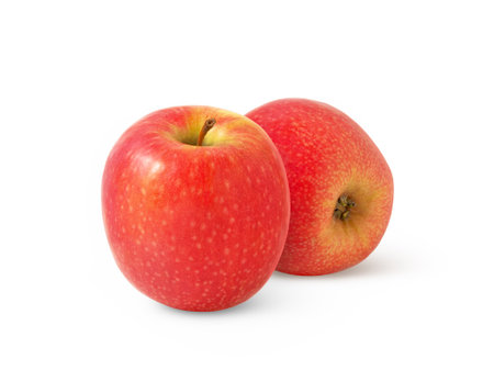 Two red apples isolated on white background.の写真素材