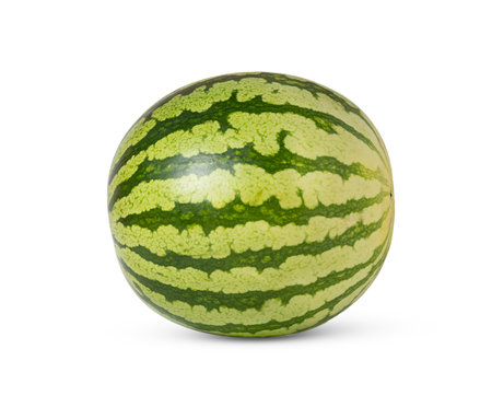 Side view of green watermelon isolated.の写真素材