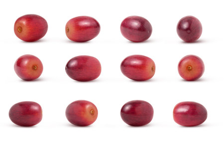 Collection of Red grape fruits isolated. Lots of grapes in different view.の写真素材