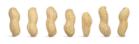 Peanut nuts isolated, different peanuts collection isolated.の写真素材