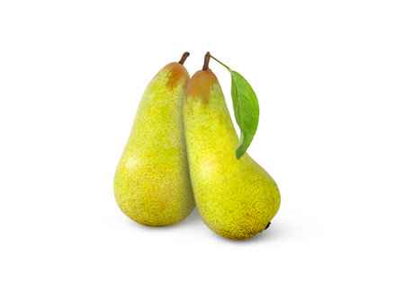 Two fresh pears isolated. Pear with leaf.の写真素材