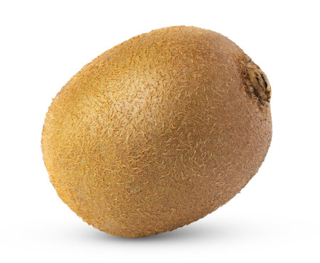 Single levity kiwi fruit isolated.の写真素材