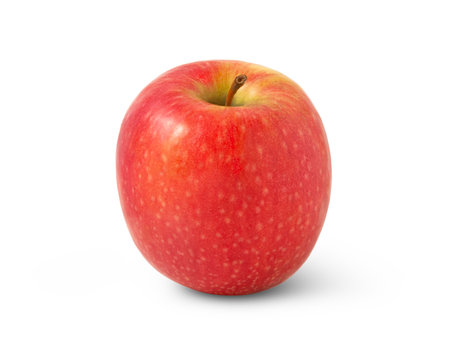 Pink lady apple isolated. One red fresh apple.の写真素材