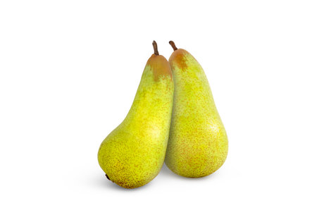 Two ripe pears.の写真素材