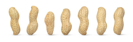 Various peanut nuts set isolated, different peanuts collection isolated.の写真素材