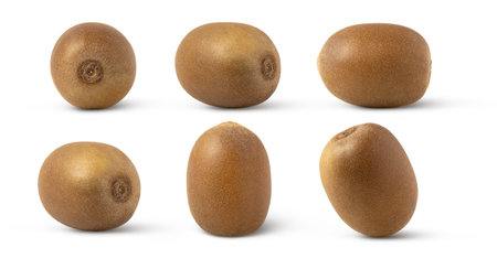 Collection of whole kiwi fruits isolated on white background. Whole kiwi fruit in different positions.の写真素材