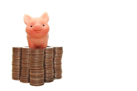 The small pig protects your moneyの写真素材