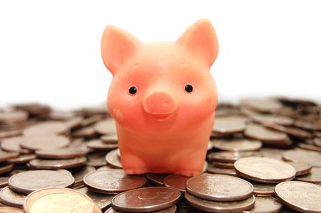 small pig sits on coinsの写真素材