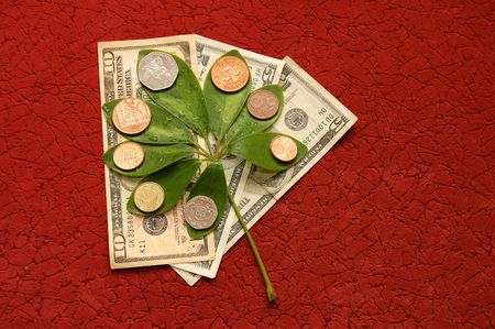 Green leaves with coins  on a red backgroundの写真素材