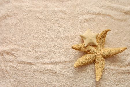 Two starfishes on colorful beach towelの写真素材