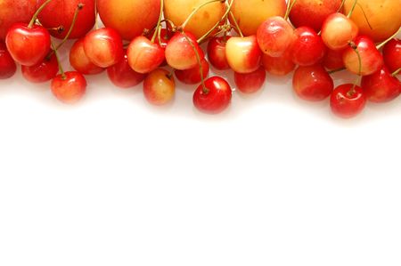Cherry and apricot border isolated whiteの写真素材