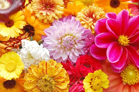 multi colored  flowers pattern backgroundの写真素材