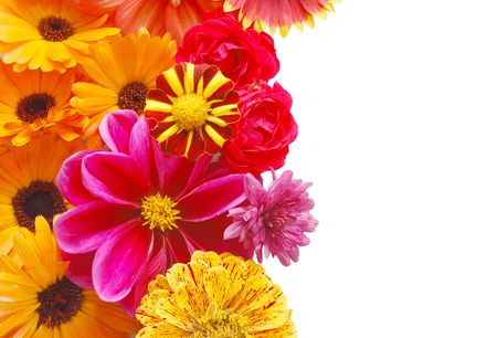 Beautiful border from fresh flowers on a white backgroundの写真素材