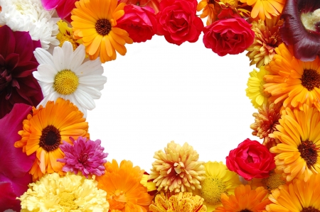 Framework from flowers with petals of various coloursの写真素材