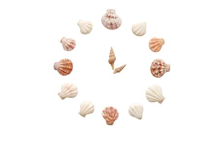 clock from cockleshells isolated on the white backgroundの写真素材