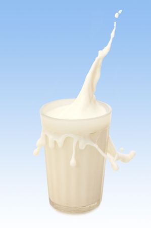 glass of milk with splash against blue background
の写真素材