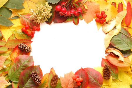 autumn fall leaf frame background
の写真素材