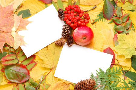 autumn fall leaf frame background