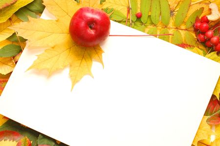 Colorful frame of fallen autumn leavesの写真素材