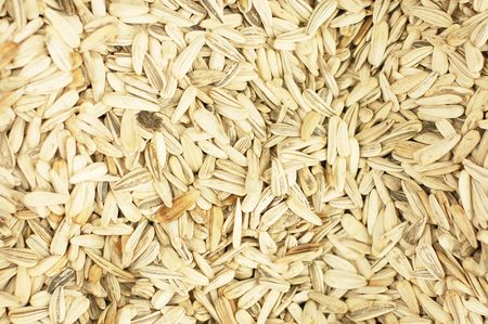 Sunflower seeds background
の写真素材