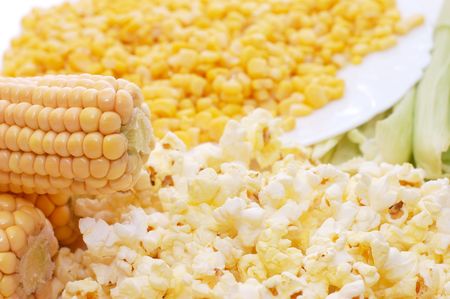 Fresh corn, preserved corn and popcornの写真素材