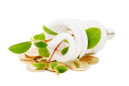 Energy saving lamp with green seedling on white の写真素材