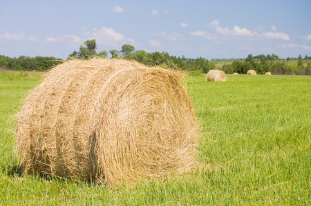 haystacks harvest against the skies の写真素材