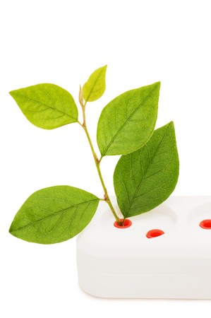 power extension cord  isolated on the white background の写真素材
