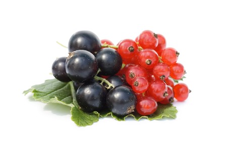 currant isolated on white background の写真素材