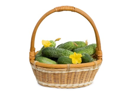 Green cucumber vegetable with  flowers isolated の写真素材