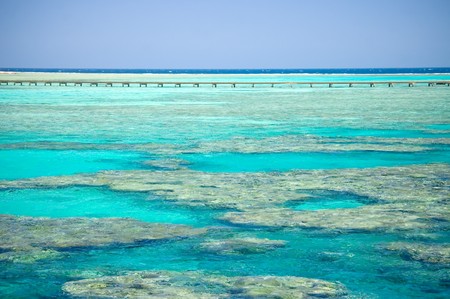 Coral coast of the red seaの写真素材