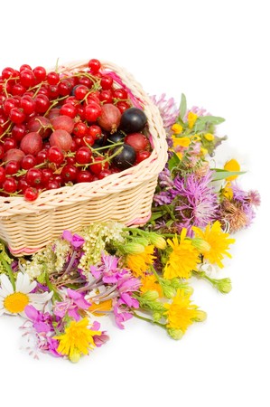 Ripe berries in a basket isolated on white background の写真素材